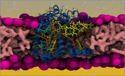 20211210094503 FeatureImageCropped