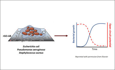 Graohical abstract poma