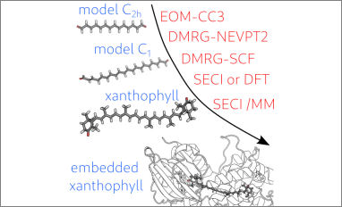 carotenoids ocp xanthophylls