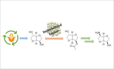 chemo enzymatic isosorbide