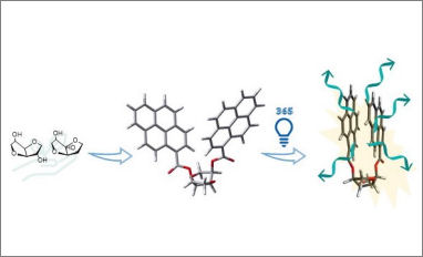 cpl isomannide isosorbide