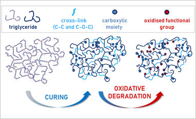 curing process autoxidation