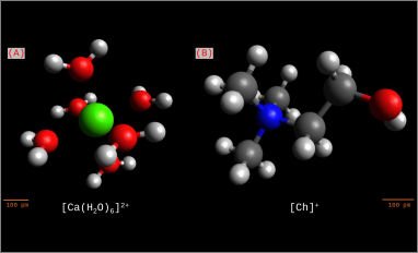 deep eutectic solvents