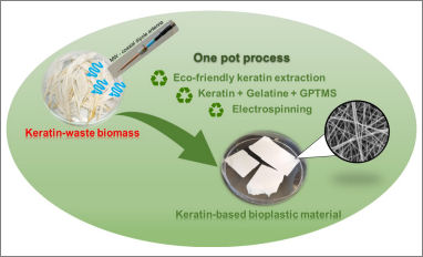 feathers conversion bioplastic