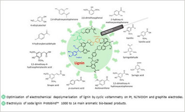 lignin electrocatalysis rid