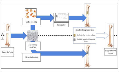 mechanical polymeric scaffolds