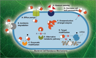 metal compounds covid