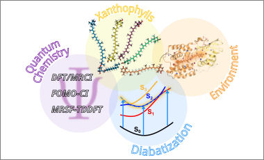 modeling xanthophyll excited