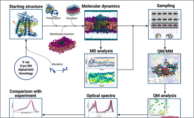models light harvesting complexes