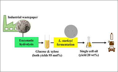 new generation biodiesel