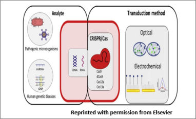 review crisprcas 2020