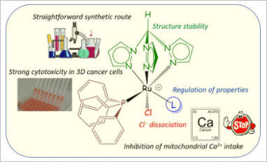 ruthenium anticancer mitochondria