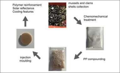 seashell waste polypropylene