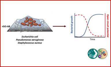 sensore grafene biofilm batterici