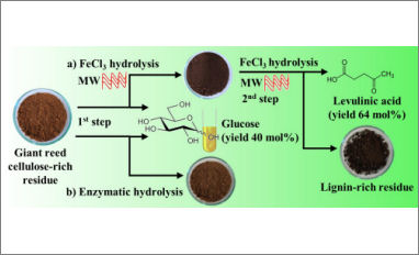 bioraffineria difidio