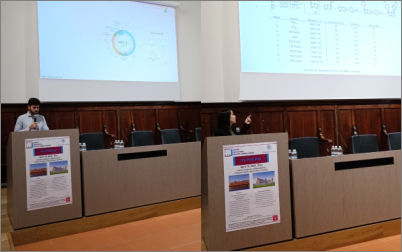 rollo rosadoni circc